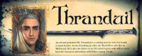 /album/literalia/elfo-thranduil-jpg/